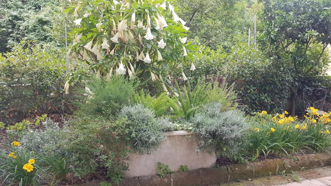 Villa Dimora Storica "Le Stanze Di Dioniso" Neapel Exterior foto